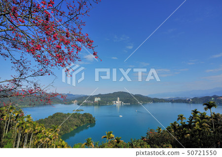 櫻花盛開和湖的風景 50721550