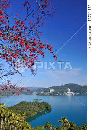 櫻花盛開和湖的風景 50721553