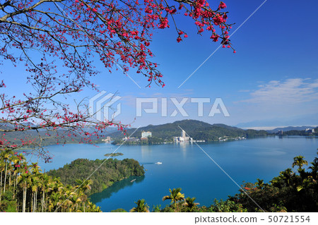 櫻花盛開和湖的風景 50721554