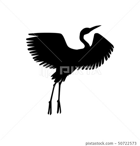 Vector hand drawn white crane bird takes off Vector hand drawn white crane bird takes off 50722573