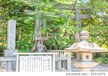 櫻井神社_福岡縣五島市志摩櫻井4227 櫻井神社_福岡縣五島市志摩櫻井4227 50722676