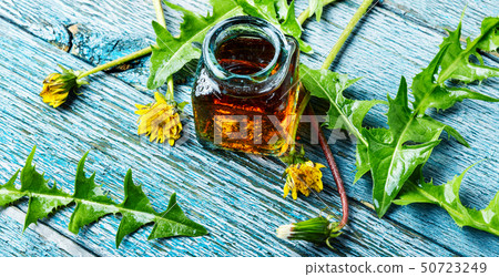 Dandelion tincture in bottle 50723249