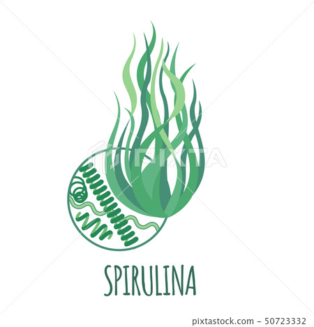 Spirulina icon in flat style. 50723332