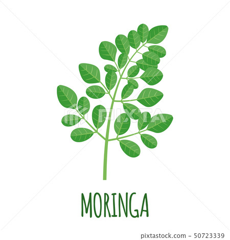 Moringa icon in flat style isolated on white. 50723339