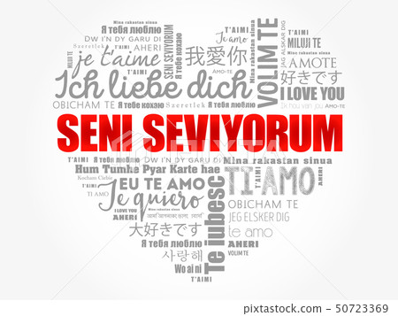 Seni Seviyorum I Love You In Turkish Stock Illustration