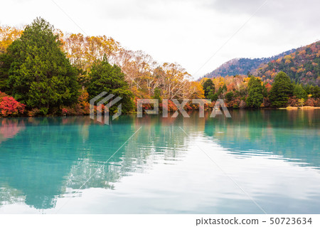 View of Yunoko lake in autumn season at Nikko View of Yunoko lake in autumn season at Nikko 50723634