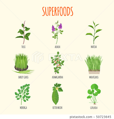 Set of superfoods in flat style. Set of superfoods in flat style. 50723645