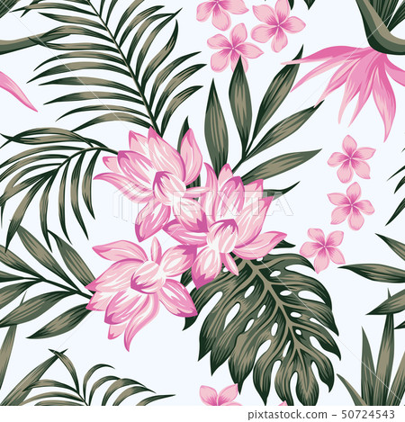 Exotic composition leaves flowers white background 50724543