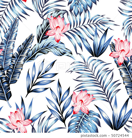 Blue tropical leaves pink flowers white background 50724544