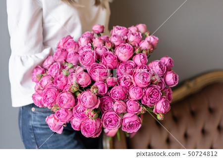 Bush roses, Pink peony in womans hand. Beautiful peony flower for catalog or online store. Beautiful 50724812