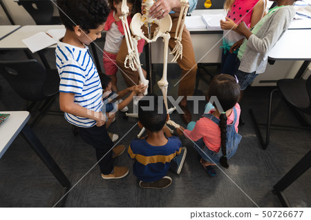 High angle view of schoolkids learning anatomy of human skeleton in classroom High angle view of schoolkids learning anatomy of human skeleton in classroom 50726677