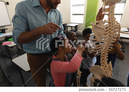 Side view of male teacher explaining skeleton model in classroom Side view of male teacher explaining skeleton model in classroom 50727271