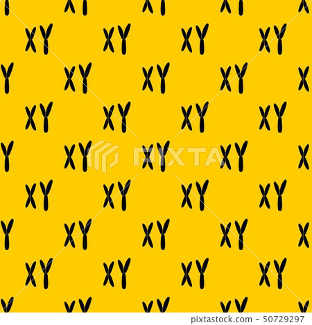 Human chromosomes pattern vector Human chromosomes pattern vector 50729297