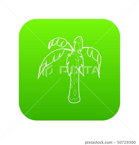 Palm icon green vector 50729300