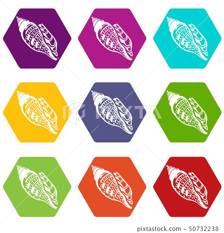 Ocean shell icons set 9 vector 50732238