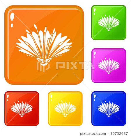 Cute flower icons set vector color Cute flower icons set vector color 50732687