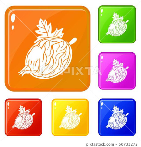 Gooseberry icons set vector color 50733272