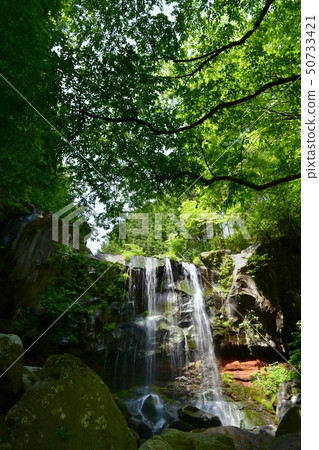 Fresh green Aka waterfall Fresh green Aka waterfall 50733421