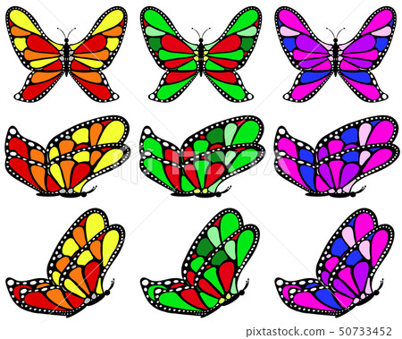 Varicolored patterned butterfly set. 50733452