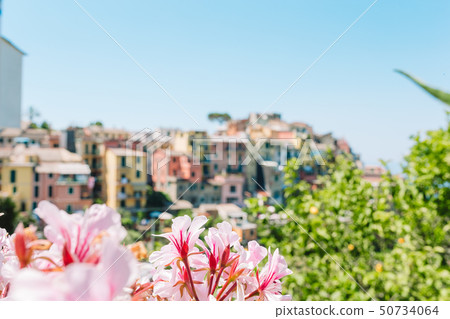 Amazing view of the beautiful village of Manarola in the Cinque Terre Reserve. Amazing view of the beautiful village of Manarola in the Cinque Terre Reserve. 50734064