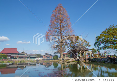 佐賀縣Shichinoike Shimizu和嚴島神社白石町 50734555