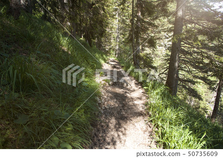 Mountain hiking at Herzogstand mountain Mountain hiking at Herzogstand mountain 50735609