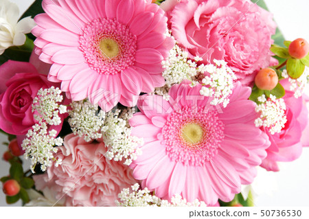 Cute pink flowers 50736530