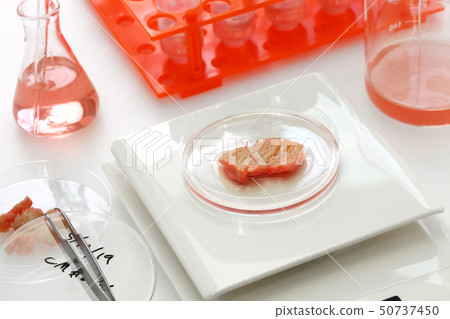 養殖肉類準備圖像 50737450