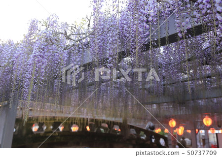 柳川市Nakayama Ofuji Festival 50737709