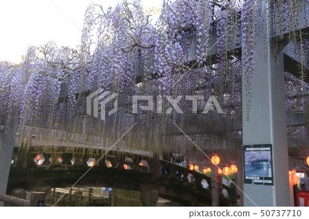 柳川市Nakayama Ofuji Festival 50737710