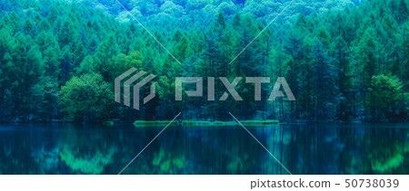 Fresh greenery at Mishaka Pond Fresh greenery at Mishaka Pond 50738039