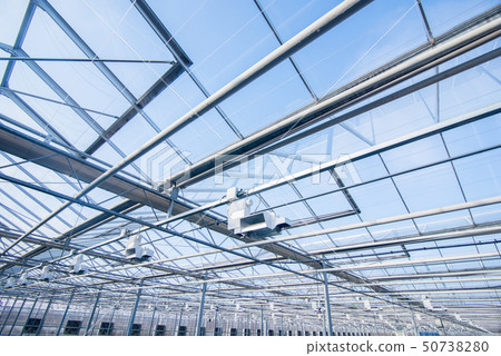the roof in the greenhouse 50738280