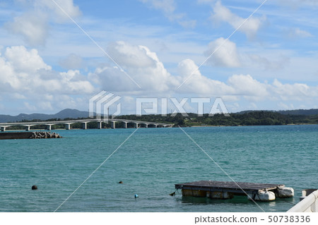 Kouri Ohashi and the sea 50738336