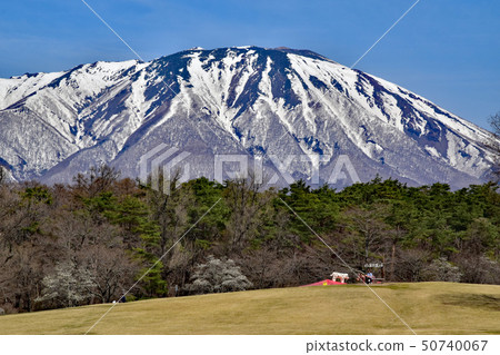 Koiwai農場 50740067