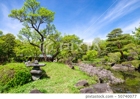 公園的圖像 群馬花卉公園 照片素材 圖片 圖庫