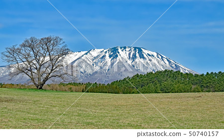 Koiwai農場 50740157