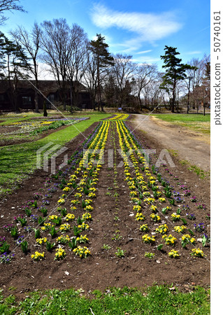 Koiwai農場 50740161