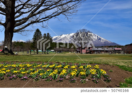 Koiwai農場 50740166