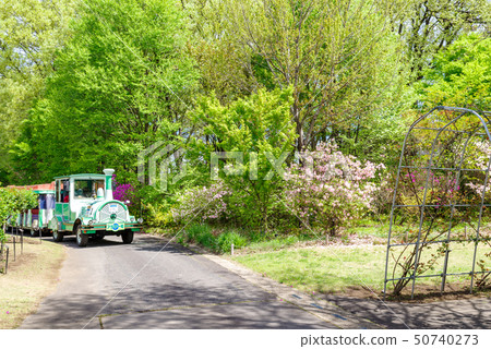 群馬花卉公園/ Chuchu火車 50740273