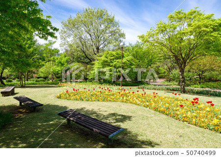 公園的圖像[群馬花卉公園] 50740499