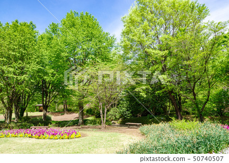 公園的圖像 群馬花卉公園 照片素材 圖片 圖庫