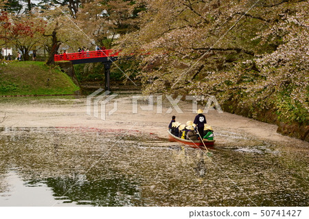 Hirosaki Sakura Festival Nakasu Tourist Board Hirosaki Sakura Festival Nakasu Tourist Board 50741427