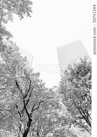 城市景觀 50741504