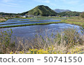 Shinshu rice planting 50741550