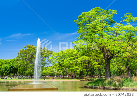 代代木公園在東京春天 代代木公園在東京春天 50742028