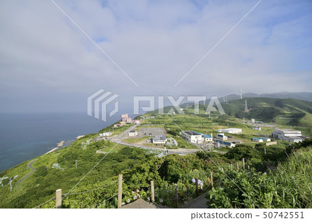 龍Tobizaki 50742551