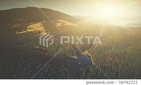 Panoramic mountain forestry slope dawn aerial view 50742721