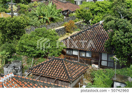 Taketomi Island panoramic view 50742960