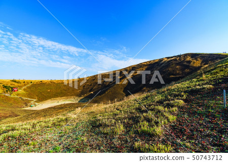 [Shizuoka Prefecture] Nature of Izukogen 50743712