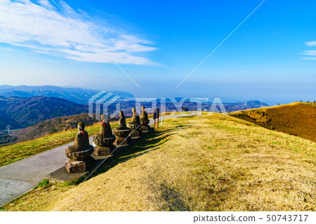 [靜岡縣]伊豆高原的性質 50743717